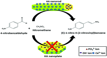 Graphical abstract: Hydroxyapatite as a bifunctional nanocatalyst for solventless Henry reaction: a demonstration of morphology-dependent catalysis