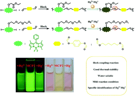 Graphical abstract: Fluorescent multi-component polymer sensors for the sensitive and selective detection of Hg2+/Hg+ ions via dual mode fluorescence and colorimetry