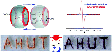 Graphical abstract: Electron transfer photochromism of solid-state supramolecules constructed by cucurbit[n]uril (n = 5–8) and 1-(4-carboxybenzyl)-4-[2-(4-pyridyl)-vinyl]-pyridinium chloride