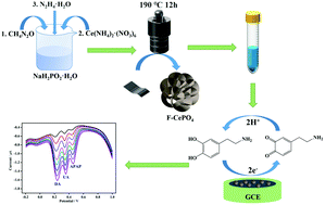 Graphical abstract: Facile synthesis of flower-like CePO4 with a hierarchical structure for the simultaneous electrochemical detection of dopamine, uric acid and acetaminophen