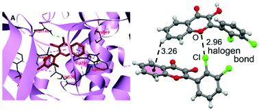 Graphical abstract: X-ray characterization, Hirshfeld surface analysis, DFT calculations, in vitro and in silico lipoxygenase inhibition (LOX) studies of dichlorophenyl substituted 3-hydroxy-chromenones