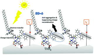 Graphical abstract: Molecular engineering of ruthenium-based photosensitizers with superior photovoltaic performance in DSSCs: novel N-alkyl 2-phenylindole-based ancillary ligands