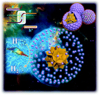 Graphical abstract: S-Scheme heterojunction based on the in situ coated core–shell NiCo2S4@WS2 photocatalyst was constructed for efficient photocatalytic hydrogen evolution