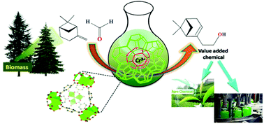Graphical abstract: Exploring the effect of acid modulators on MIL-101 (Cr) metal–organic framework catalysed olefin-aldehyde condensation: a sustainable approach for the selective synthesis of nopol