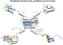 Graphical abstract: Destabilization of Alzheimer's Aβ42 protofibrils with acyclovir, carmustine, curcumin, and tetracycline: insights from molecular dynamics simulations