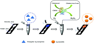 Graphical abstract: Microfluidic nanopaper based analytical device for colorimetric and naked eye determination of cholesterol using the color change of triangular silver nanoprisms