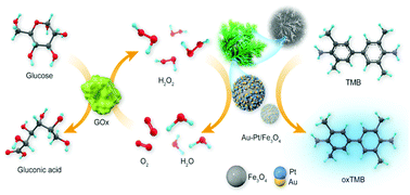 Graphical abstract: Colorimetric detection of glucose by a hybrid nanomaterial based on amplified peroxidase-like activity of ferrosoferric oxide modified with gold–platinum heterodimer