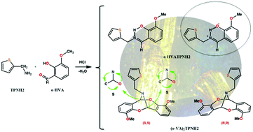 Graphical abstract: The crystal structure and characterization of a co-product in the synthesis of a Schiff base give evidence of its zwitterionic nature in the solid state