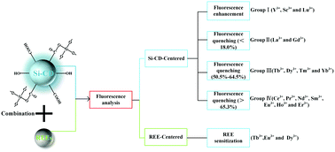 Graphical abstract: Silicon-hybrid carbon dots derived from rice husk: promising fluorescent probes for trivalent rare earth element ions in aqueous media