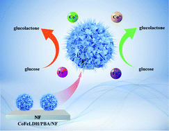 Graphical abstract: The facile fabrication and high-performance sensing of glucose of sea-urchin-like CoFeLDH/PBA/NF heterojunction