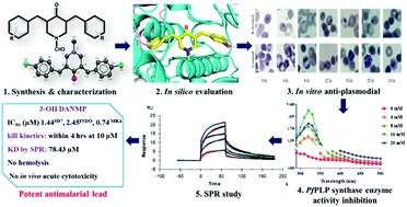 Graphical abstract: Synthesis, in vitro anti-plasmodial potency, in-silico-cum-SPR binding with inhibition of PfPyridoxal synthase and rapid parasiticidal action by 3,5-bis{(E) arylidene}-N-methyl-4-piperidones