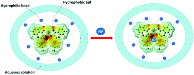 Graphical abstract: Water stable fluorescent organotin(iv) compounds: aggregation induced emission enhancement and recognition of lead ions in an aqueous system