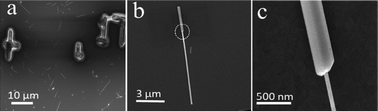 Graphical abstract: Epitaxial growth of one-dimensional different-diameter silver nanowires