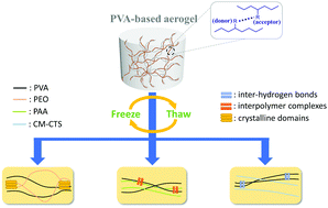 Graphical abstract: Microstructural transition of poly(vinyl alcohol)-based aerogels in the presence of interpolymer complexes