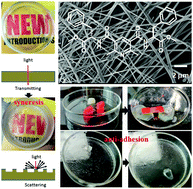 Graphical abstract: A peptidomimetic-based thixotropic organogel showing syneresis-induced anti-adhesion against water and ice