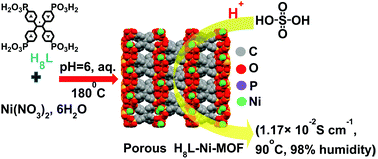 Graphical abstract: High proton conductivity in a charge carrier-induced Ni(ii) metal–organic framework