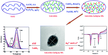 Graphical abstract: Studies of simultaneous electrochemical sensing of Hg2+ and Cd2+ ions and catalytic reduction properties of 4-nitrophenol by CuO, Au, and CuO@Au composite nanoparticles synthesised using a graft copolymer as a bio-template