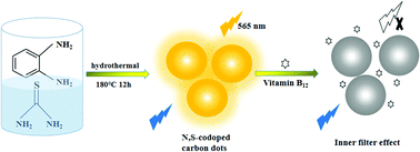 Graphical abstract: Orange-emissive N,S-co-doped carbon dots for label-free and sensitive fluorescence assay of vitamin B12