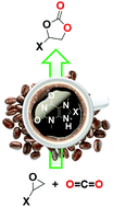 Graphical abstract: Mechanistic insights on CO2 utilization using sustainable catalysis