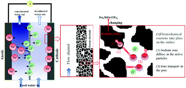 Graphical abstract: Microscopic study of ion transport in the porous electrode of a desalination battery based on the lattice Boltzmann method