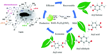 Graphical abstract: Preparation of magnetic silica supported Brønsted acidic ionic liquids for the depolymerization of lignin to aromatic monomers