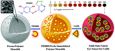 Graphical abstract: Porous carbon-based polymer monolithic template implanted with an ion-receptor molecular probe as a solid-state ocular sensor for the selective targeting and capturing of cobalt ions
