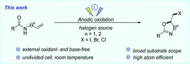 Graphical abstract: Electrochemical oxidative cyclization of N-allylcarboxamides: efficient synthesis of halogenated oxazolines