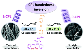 Graphical abstract: pH-influenced handedness inversion of circularly polarized luminescence