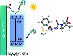 Graphical abstract: A novel label-free photoelectrochemical aptasensor for the sensitive detection of ampicillin based on carbon-coated Bi2S3 nanorods