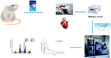 Graphical abstract: The enantioseparation and determination of sulconazole enantiomers in rat plasma and tissues by a chiral HPLC–ESI–MS/MS method and its application to studies on stereoselective pharmacokinetics and tissue distribution
