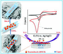 Graphical abstract: A web of poly(bisbenzimidazolatocopper(ii)) around multiwalled carbon nanotubes for the electrochemical detection of hydrogen peroxide