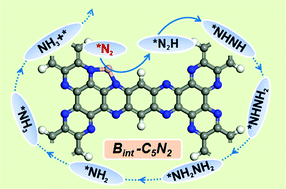 Graphical abstract: Metal-free C5N2 doped with a boron atom as an efficient electrocatalyst for the nitrogen reduction reaction