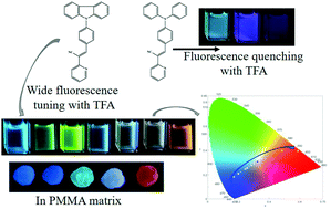 Graphical abstract: Molecular conformational twist-controlled wide fluorescence tuning and white light emission in a single fluorophore via halochromism