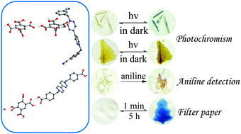 Graphical abstract: Two new photochromic supramolecular compositions based on viologen: photocontrolled fluorescence, aniline detection and inkless erasable printing performance