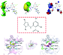 Graphical abstract: Discovery of novel antifungal resorcylate aminopyrazole Hsp90 inhibitors based on structural optimization by molecular simulations