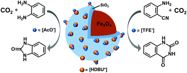 Graphical abstract: Converting CO2 into heterocyclic compounds under accelerated performance through Fe3O4-grafted ionic liquid catalysts