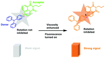 Graphical abstract: Naphthalene anhydride triphenylamine as a viscosity-sensitive molecular rotor for liquid safety inspection