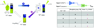 Graphical abstract: An IMPLICATION-logic-based fluorescent probe for sequential detection of Cu2+ and phosphates in living cells