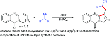 Graphical abstract: Cyanomethylative cyclization of unactivated alkenes with nitriles for the synthesis of cyano-containing ring-fused quinazolin-4(3H)-ones