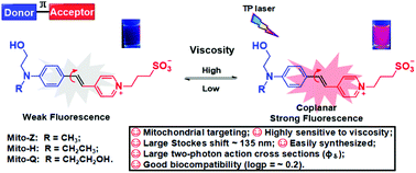 Graphical abstract: Two-photon fluorescence imaging of mitochondrial viscosity with water-soluble pyridinium inner salts