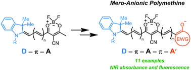 Graphical abstract: ‘Hybrid’ mero-anionic polymethines with a 1,3,2-dioxaborine core