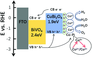 Graphical abstract: The synergistic effect of CuBi2O4 and Co-Pi: improving the PEC activity of BiVO4-based composite materials