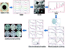 Graphical abstract: Combustion-assisted green-synthesized magnesium-doped cadmium ferrite nanoparticles for multifunctional applications