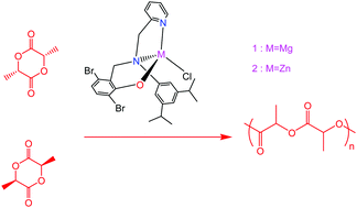 Graphical abstract: Ring-opening polymerization of rac-lactide catalyzed by magnesium and zinc complexes supported by an NNO ligand