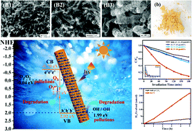 Graphical abstract: UV-Vis-NIR full-range-responsive carbon-rich carbon nitride nanotubes for enhanced photocatalytic performance