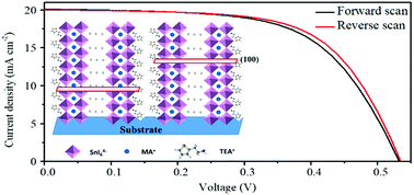 Graphical abstract: Highly oriented quasi-2D layered tin halide perovskites with 2-thiopheneethylammonium iodide for efficient and stable tin perovskite solar cells