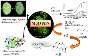 Graphical abstract: Synthesis, photocatalytic and antibacterial activities of a PDS-activated MgO nanocatalyst: experimental and theoretical studies