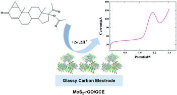 Graphical abstract: A molybdenum disulfide-reduced graphene oxide nanocomposite as an electrochemical sensing platform for detecting cyproterone acetate