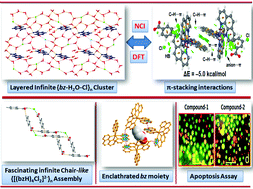 Graphical abstract: Solvent-driven structural topologies in phenanthroline-based co-crystals of Zn(ii) involving fascinating infinite chair-like {[(bzH)4Cl2]2−}n assemblies and unconventional layered infinite {bz-H2O-Cl}n anion-water clusters: antiproliferative evaluation and theoretical studies