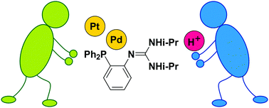 Graphical abstract: Coordination behaviour of a hybrid phosphinoguanidine ligand